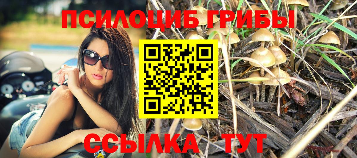 Галлюциногенные грибы MAGIC MUSHROOMS Каменск-Шахтинский